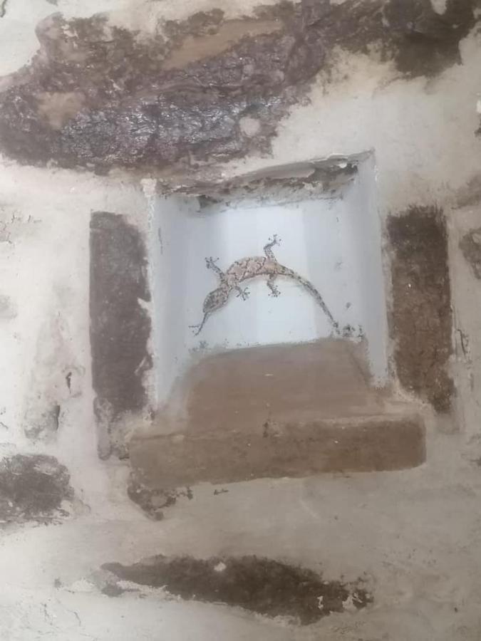 La Lammia Di *